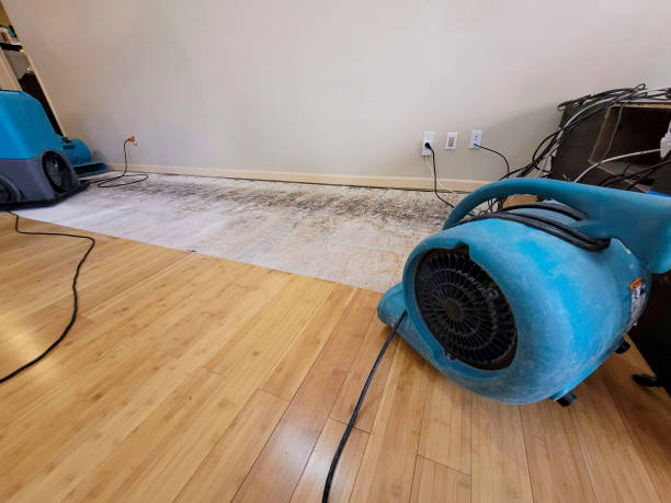Professional Structural Drying technician working in Lorenzo, TX